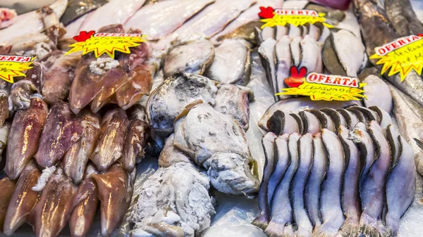 Las Palmas Gran Canaria Spain January 2018 Fresh Fish Seafood — Stock Photo, Image