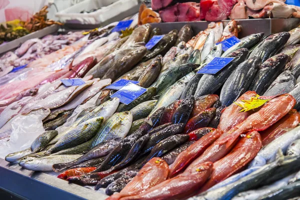 Las Palmas Gran Canaria Spain January 2018 Fresh Fish Seafood — Stock Photo, Image