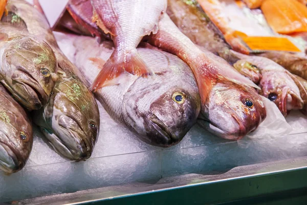Las Palmas Gran Canaria Spain January 2018 Fresh Fish Seafood — Stock Photo, Image