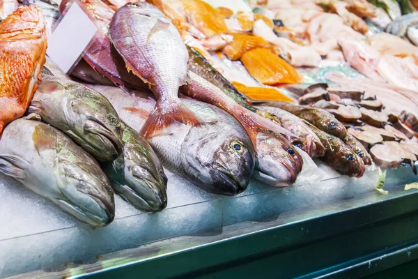 카나리아 스페인 2018 신선한 해산물 시장에서가 진열창에 — 스톡 사진
