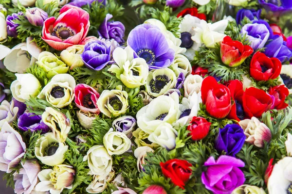 Beau Bouquet Anémones Dans Rue Boutique Fleurs — Photo