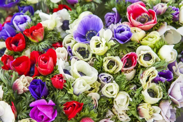 Beau Bouquet Anémones Dans Rue Boutique Fleurs — Photo