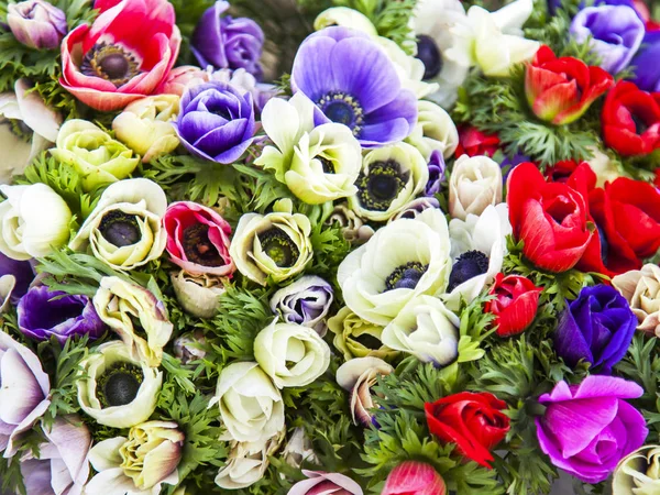 Beau Bouquet Anémones Dans Rue Boutique Fleurs — Photo