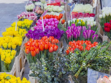 Güzel demetleri çeşitli Lale Sokak çiçekçide sunulmaktadır