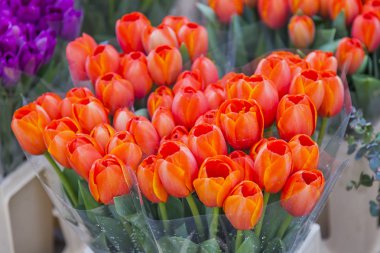 Güzel demetleri çeşitli Lale Sokak çiçekçide sunulmaktadır