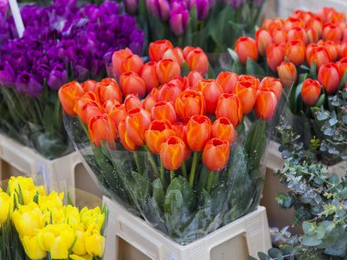 Güzel demetleri çeşitli Lale Sokak çiçekçide sunulmaktadır