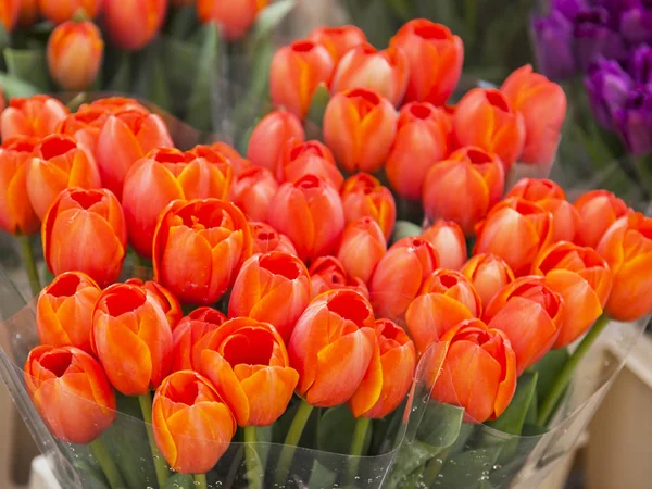 Beautiful Bouquets Various Tulips Presented Street Flower Shop — Stock Photo, Image