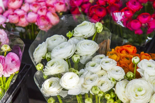 Beaux Bouquets Diverses Anémones Sont Présentés Dans Boutique Fleurs Rue — Photo