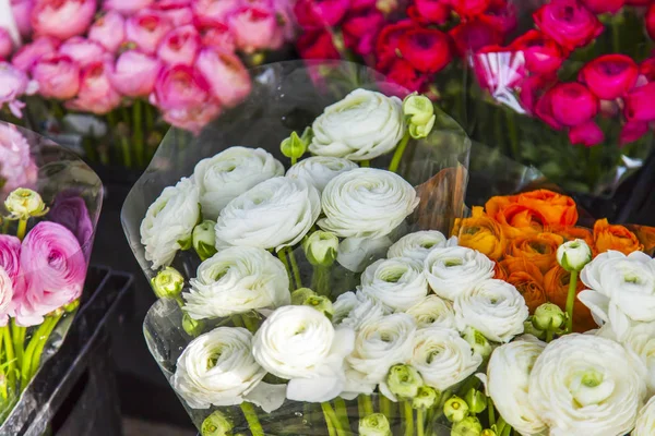 Beautiful Bouquets Various Anemones Presented Street Flower Shop — Stock Photo, Image