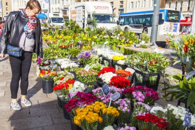 Marsilya, Fransa, 2 Mart 2018. Çeşitli çiçekler, bitkiler ve sendikalar dolgu üzerinde geleneksel çiçek pazarında eski liman satılmaktadır