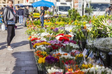 Marsilya, Fransa, 2 Mart 2018. Çeşitli çiçekler, bitkiler ve sendikalar dolgu üzerinde geleneksel çiçek pazarında eski liman satılmaktadır