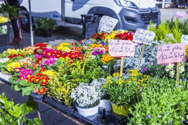 Marsilya, Fransa, 2 Mart 2018. Çeşitli çiçekler, bitkiler ve sendikalar dolgu üzerinde geleneksel çiçek pazarında eski liman satılmaktadır