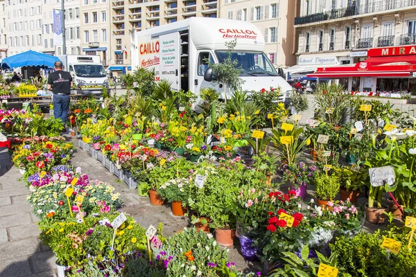 Marseille Francia Marzo 2018 Varias Flores Plantas Sindicatos Están Venta — Foto de Stock