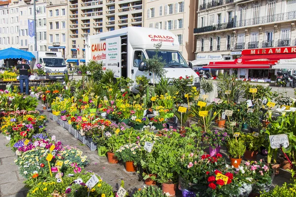 Marsilya Fransa Mart 2018 Çeşitli Çiçekler Bitkiler Sendikalar Dolgu Üzerinde — Stok fotoğraf
