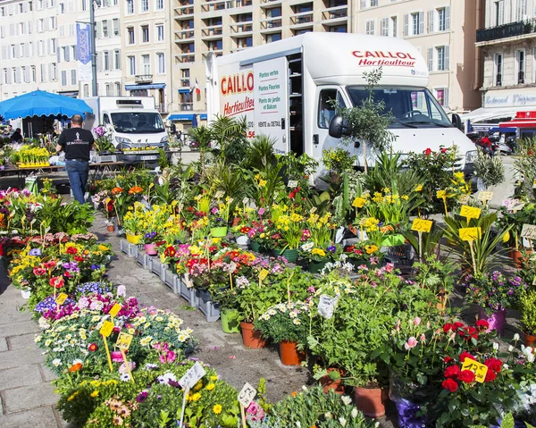 Marsilya Fransa Mart 2018 Çeşitli Çiçekler Bitkiler Sendikalar Dolgu Üzerinde — Stok fotoğraf