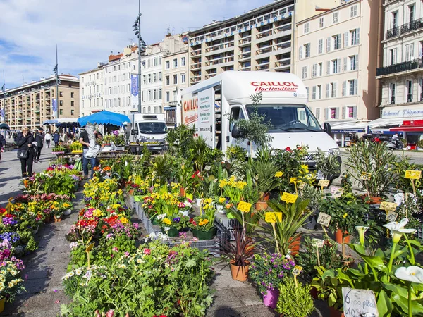 Marseille France Mars 2018 Diverses Fleurs Plantes Syndicats Sont Vente — Photo