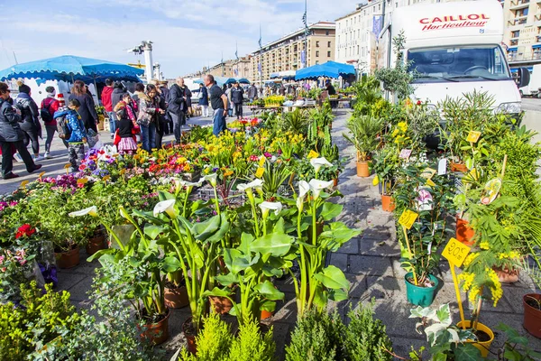 Marsilya Fransa Mart 2018 Çeşitli Çiçekler Bitkiler Sendikalar Dolgu Üzerinde — Stok fotoğraf