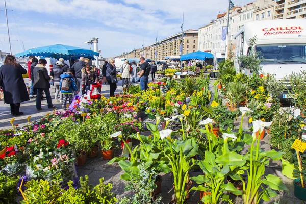 Marsilya Fransa Mart 2018 Çeşitli Çiçekler Bitkiler Sendikalar Dolgu Üzerinde — Stok fotoğraf