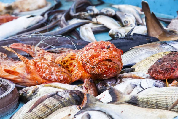Marseille França Março 2018 Vários Peixes Frutos Mar Estão Venda — Fotografia de Stock