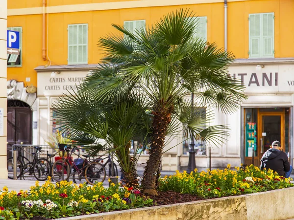 Nice France March 2018 Beautiful Palm Tree City Street Background — Stock Photo, Image