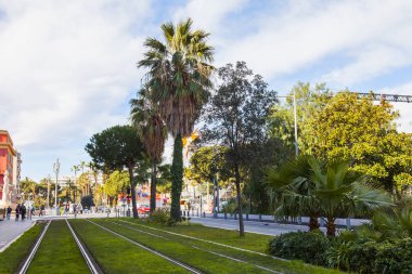 Güzel, Fransa, 6 Mart 2018. Şehrin sokak üzerinde bir güzel palmiye ağacı