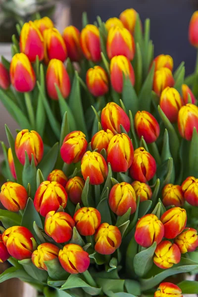 Prachtige Boeketten Van Verschillende Tulpen Worden Gepresenteerd Straat Bloemenwinkel — Stockfoto