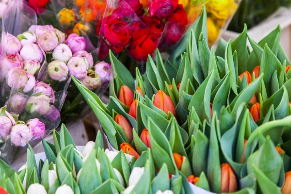 Prachtige Boeketten Van Verschillende Tulpen Worden Gepresenteerd Straat Bloemenwinkel — Stockfoto