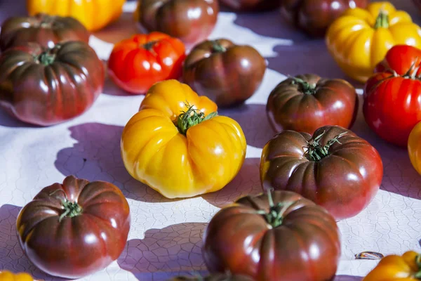 Los Tomates Frescos Exponen Una Vitrina Del Mercado — Foto de Stock