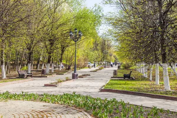 Pushkino Federacja Rosyjska Maja 2018 Ulica Widok Wiosenne Popołudnie Drzew — Zdjęcie stockowe
