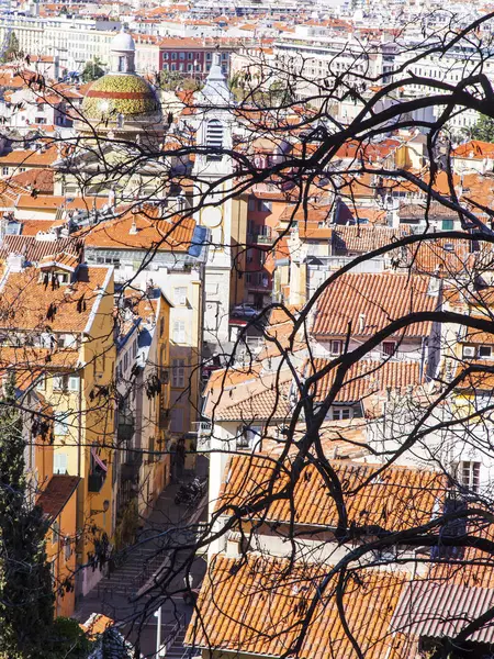 Nice France March 2018 Picturesque Branch Tree Background Old City — Stock Photo, Image