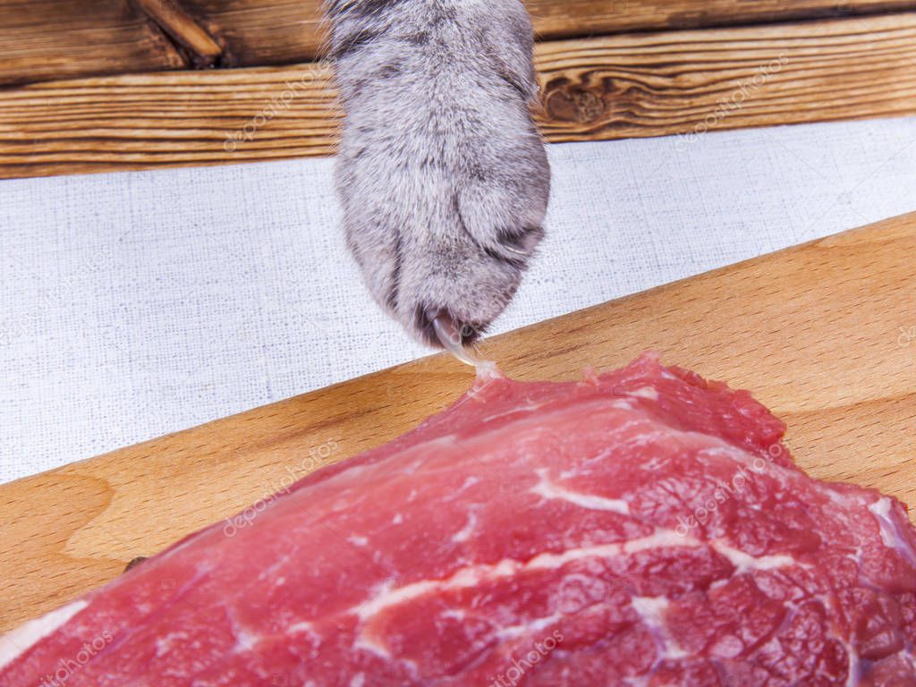 Cat tries to steal large chunk of raw meat