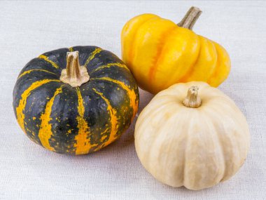 Masada üç farklı kabak çeşidi var.