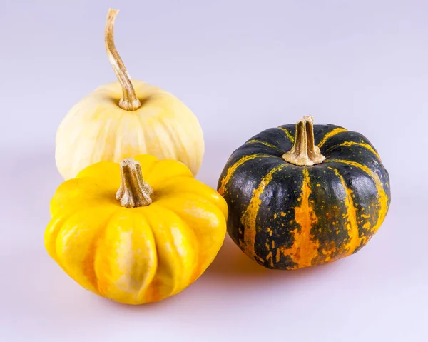 Three Pumpkin Different Varieties Table — Stock Photo, Image