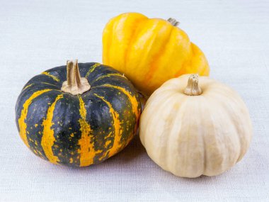 Masada üç farklı kabak çeşidi var.