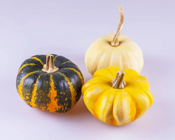 Three Pumpkin Different Varieties Table — Stock Photo, Image