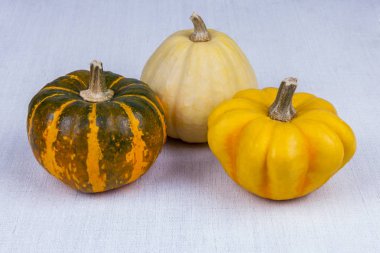 Masada üç farklı kabak çeşidi var.