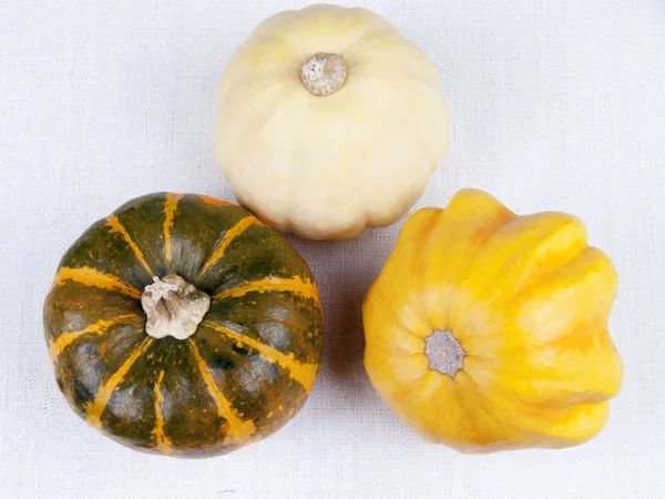 Three Pumpkin Different Varieties Table — Stock Photo, Image