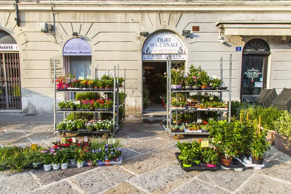 Trieste Italien August 2019 Schöne Malerische Straße Der Historischen Stadt — Stockfoto