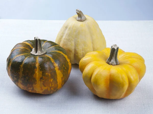 Three Pumpkin Different Varieties Table — Stock Photo, Image