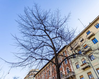 Milan, İtalya, 12 Şubat 2020. Tarihi bir binadaki tipik mimari detaylar