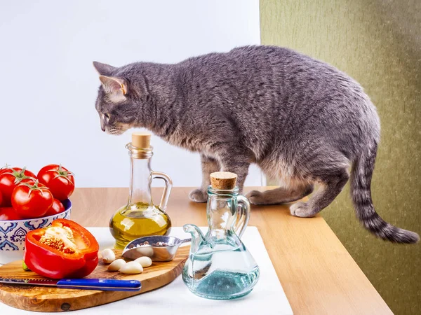 Vacker Grå Katt Och Grönsaker För Matlagning Sallad Ett Bord — Stockfoto
