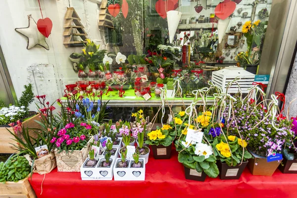 Bergamo Italy February 2020 Beautiful Flower Shop Window — Stock Photo, Image