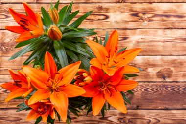 Ahşap yüzeyin arka planına karşı portakal renkli dekoratif oda bitkisi.