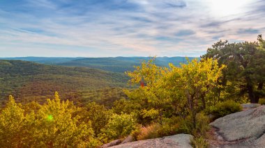 Tepe bölgesi ormanla kaplı. Resimli manzara.