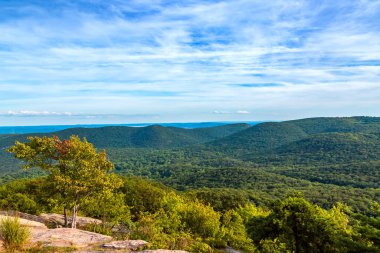 Tepe bölgesi ormanla kaplı. Resimli manzara.