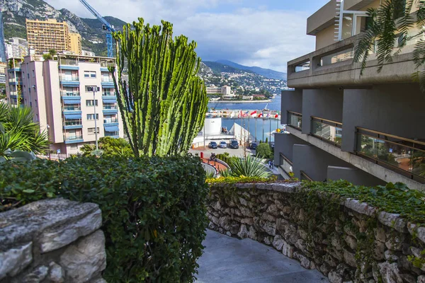 Monte Carlo Monaco October 2019 Beautiful City View Sunny Weather — Stock Photo, Image