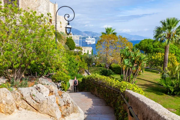 Monte Carlo Monaco October 2019 Beautiful Alley Exotic Garden — Stock Photo, Image