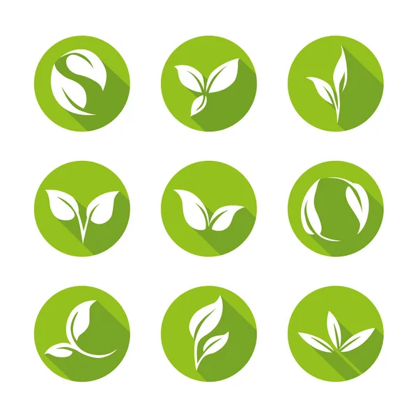 Ícones folhas verdes - Círculos — Vetor de Stock