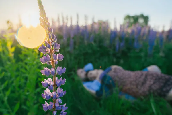 Couple lying in flowers — Stock Photo, Image