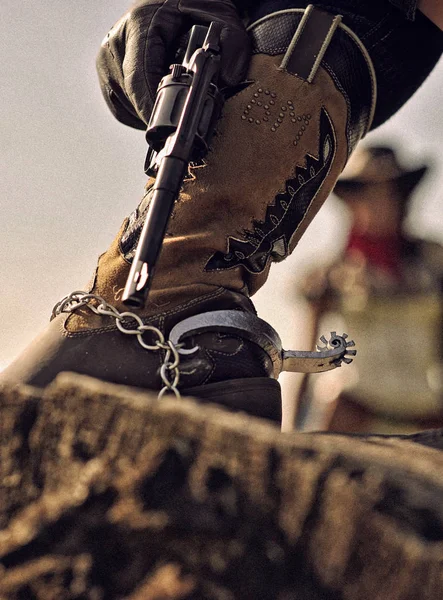 Bruin cowboy boot — Stockfoto